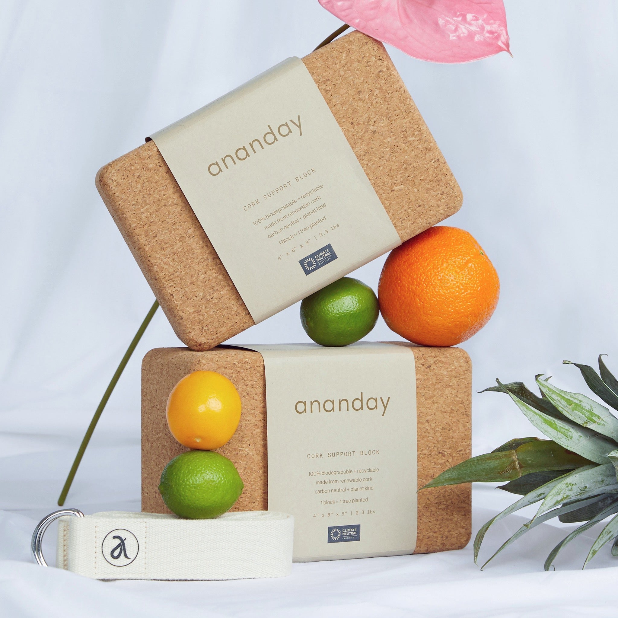 Yoga Block & Strap Set by Ananday